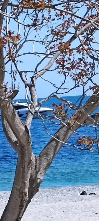 La Cita Ca - Vista Mare Leilighet Finale Ligure Eksteriør bilde