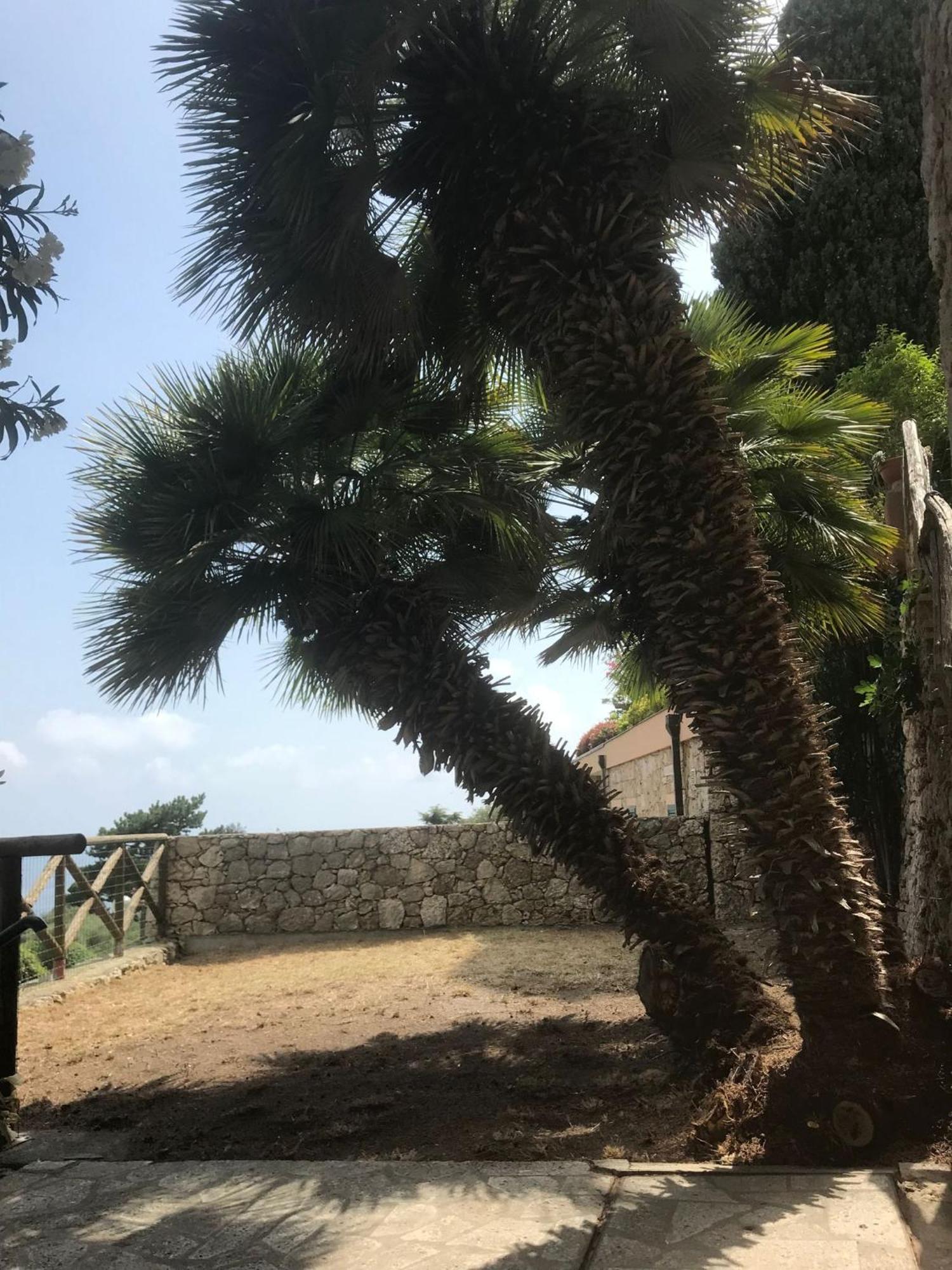 La Cita Ca - Vista Mare Leilighet Finale Ligure Eksteriør bilde